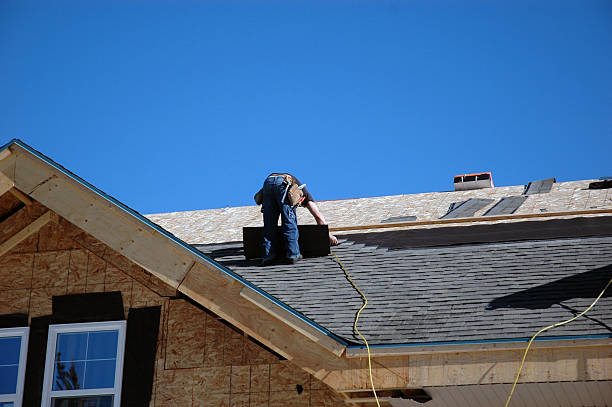 Best Metal Roofing Contractor  in Wink, TX