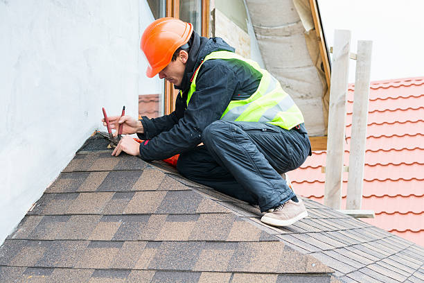 Best Metal Roofing Contractor  in Wink, TX